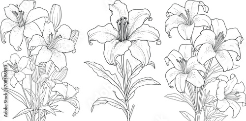 Hand-drawn line art set of beautiful black and white flowers, floral illustration coloring page © Rashidul Sony