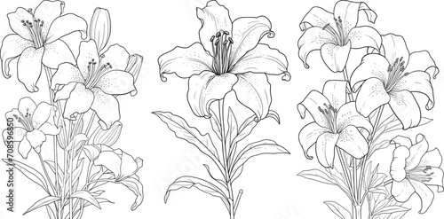 Hand-drawn line art set of beautiful black and white flowers, floral illustration coloring page