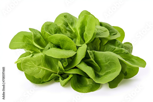 Mache  Lamb s Lettuce  isolated on white background created with Generative Ai