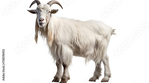 A majestic feral goatantelope, with pure white fur and impressive horns, stands tall as a symbol of untamed beauty and strength in the animal kingdom