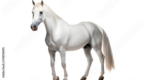 A majestic white mare stands proudly on a dark canvas, her flowing mane and powerful snout embodying the grace and strength of a wild mustang horse