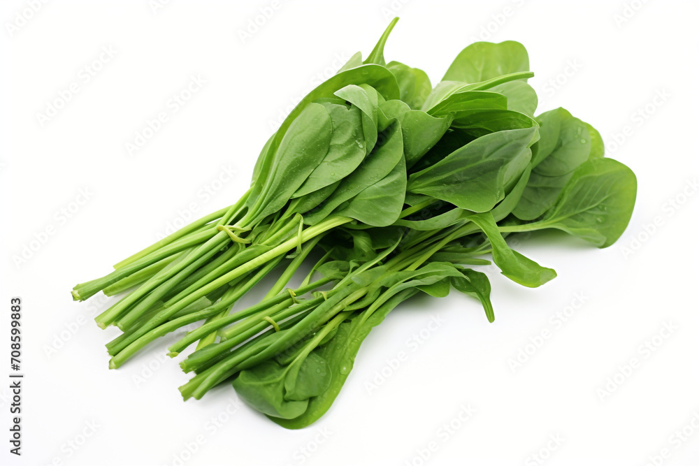 Water Spinach (Kangkong) isolated on white background created with Generative Ai Water Spinach (Kangkong) isolated on white background created with Generative Ai
