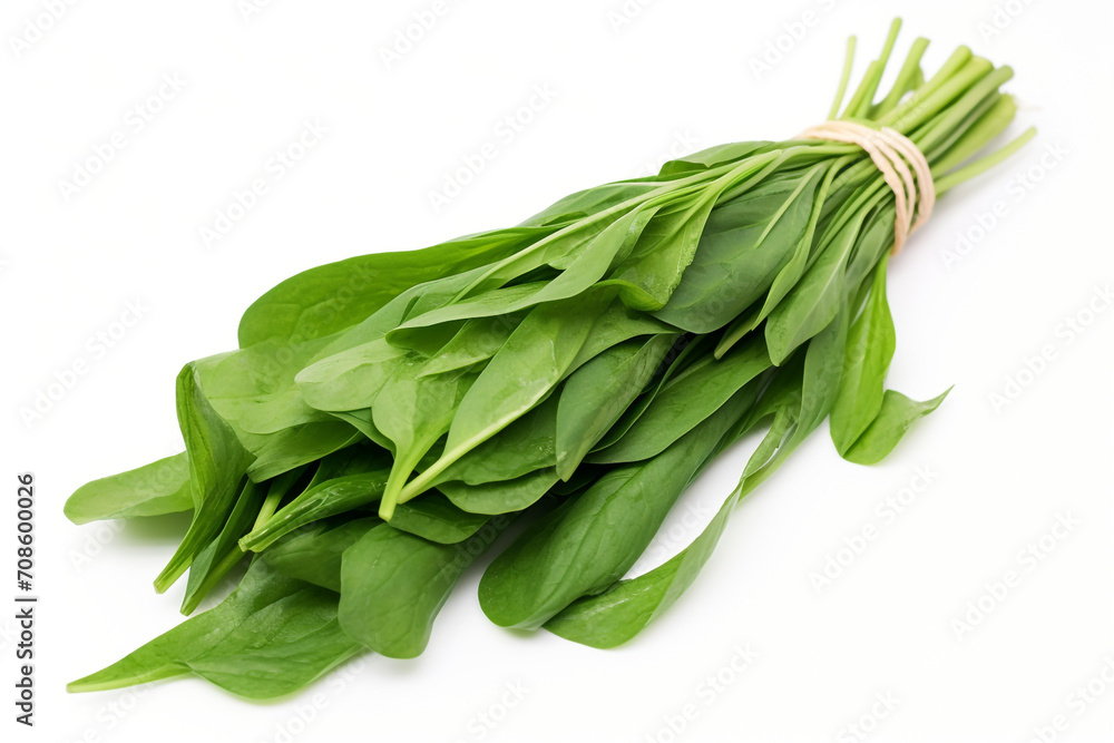 Water Spinach (Kangkong) isolated on white background created with Generative Ai Water Spinach (Kangkong) isolated on white background created with Generative Ai