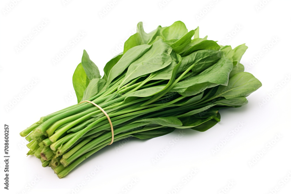 Water Spinach (Kangkong) isolated on white background created with Generative Ai Water Spinach (Kangkong) isolated on white background created with Generative Ai