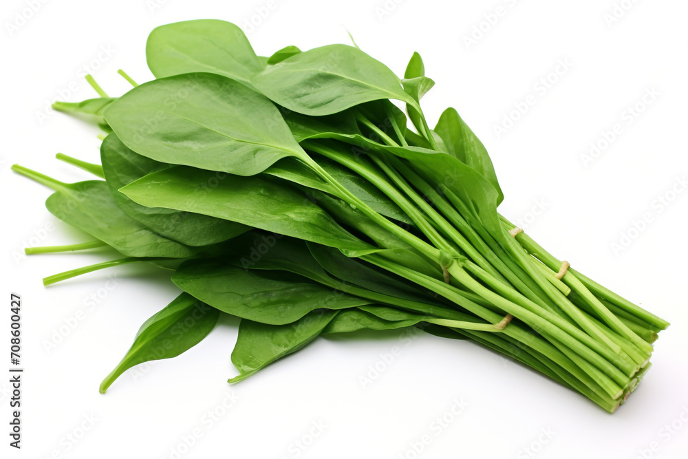Water Spinach (Kangkong) isolated on white background created with Generative Ai Water Spinach (Kangkong) isolated on white background created with Generative Ai