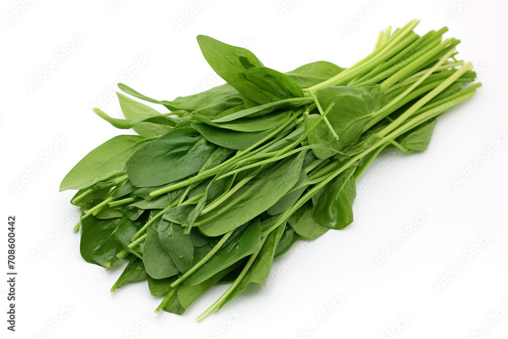 Water Spinach (Kangkong) isolated on white background created with Generative Ai Water Spinach (Kangkong) isolated on white background created with Generative Ai