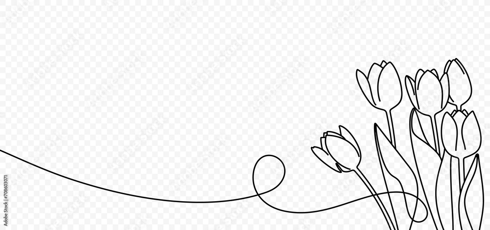 Continuous one line drawing of beautiful spring flowers vector design. Single line art illustration bouquet of tulips on transparent background - obrazy, fototapety, plakaty 