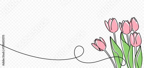 Continuous one line drawing of beautiful spring flowers vector design. Single line art illustration bouquet of pink tulips on transparent background photo