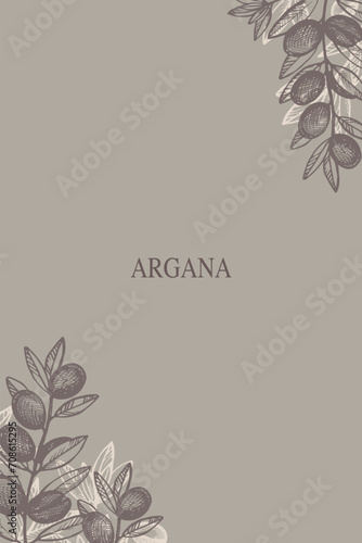 Argan vertical template boho card hand drawn plant  vector illustration. Background border Argana tree engraved with argania leaves, fruits for label, print, design logo wrapping label. Food, cosmetic