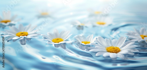 Close-up of White Daisies on Rippling Water Surface