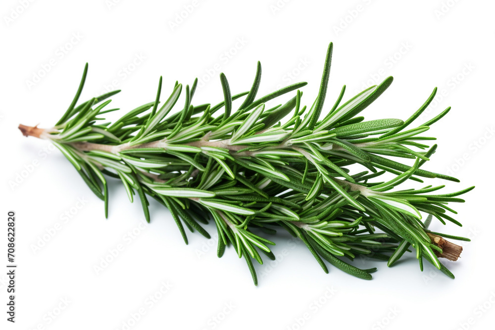 Rosemary isolated on white background created with Generative Ai