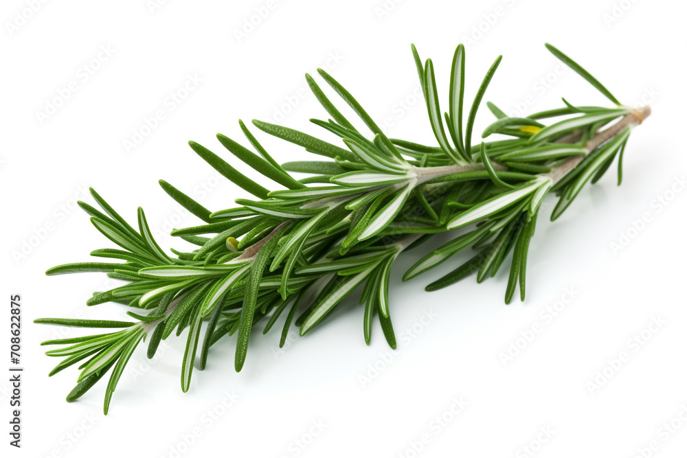 Fototapeta premium Rosemary isolated on white background created with Generative Ai