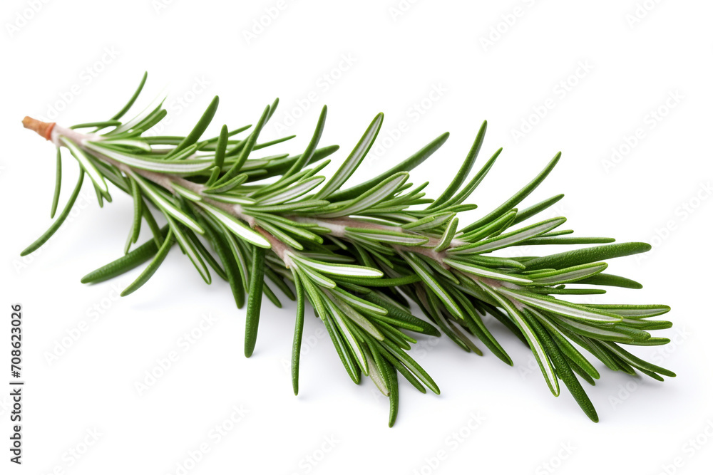 Rosemary isolated on white background created with Generative Ai Rosemary isolated on white background created with Generative Ai
