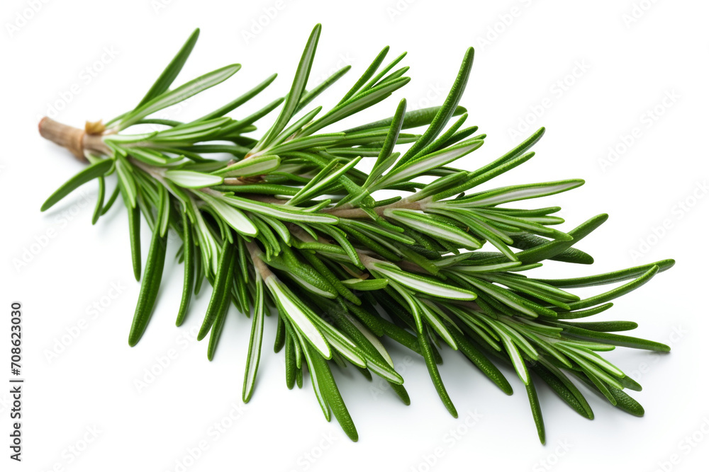 Fototapeta premium Rosemary isolated on white background created with Generative Ai