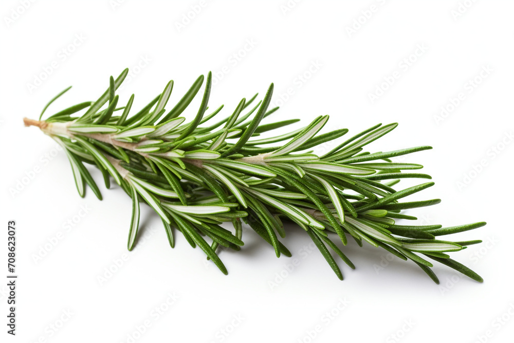 Fototapeta premium Rosemary isolated on white background created with Generative Ai