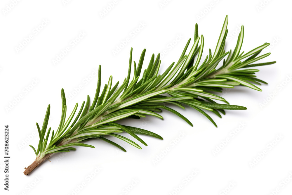 Fototapeta premium Rosemary isolated on white background created with Generative Ai