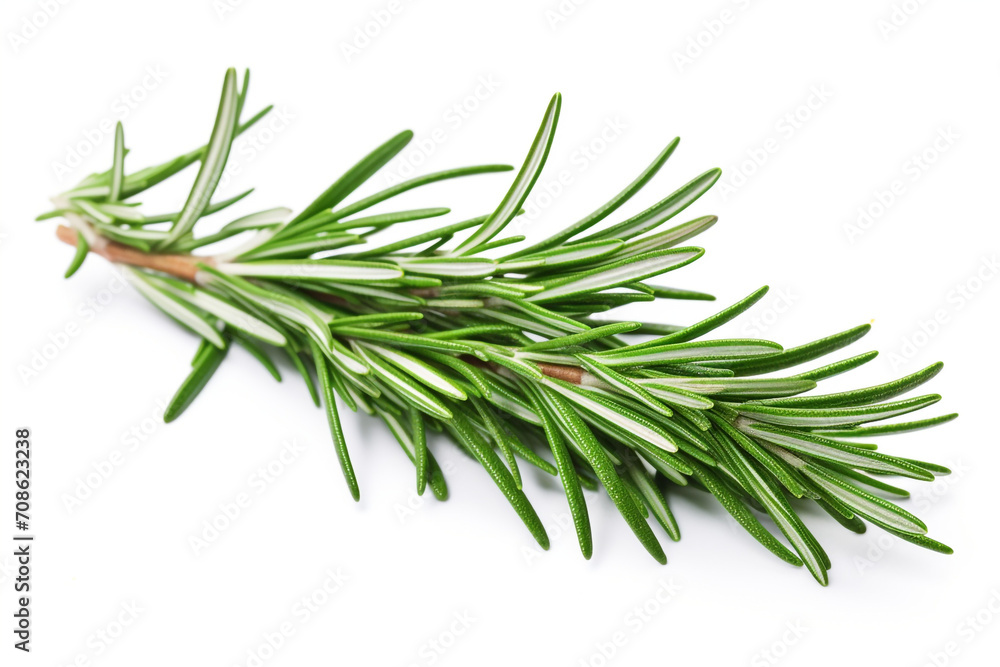 Rosemary isolated on white background created with Generative Ai