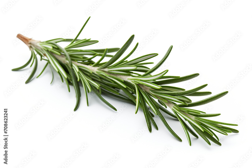 Rosemary isolated on white background created with Generative Ai