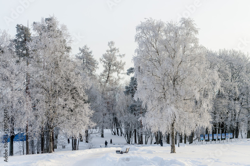 Winter park on a sunny day. Beautiful winter landscape. © kulkann