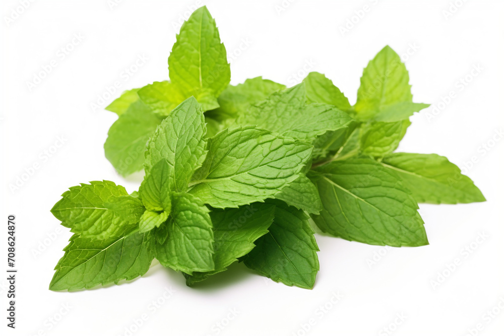 Spearmint isolated on white background created with Generative Ai Spearmint isolated on white background created with Generative Ai