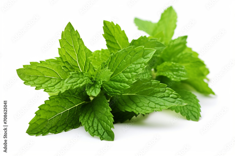 Spearmint isolated on white background created with Generative Ai Spearmint isolated on white background created with Generative Ai