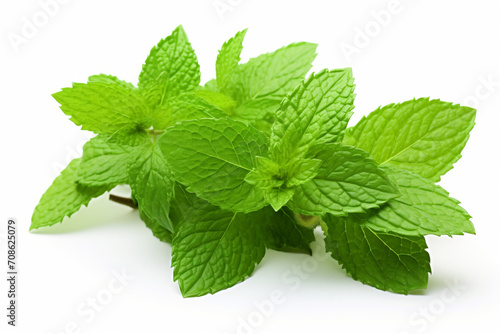 Spearmint isolated on white background created with Generative Ai
