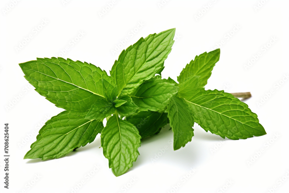 Spearmint isolated on white background created with Generative Ai Spearmint isolated on white background created with Generative Ai