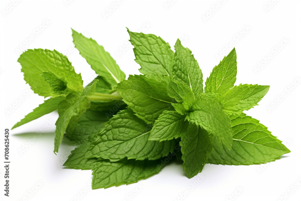 Spearmint isolated on white background created with Generative Ai Spearmint isolated on white background created with Generative Ai