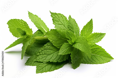 Spearmint isolated on white background created with Generative Ai