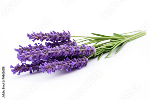 Lavender isolated on white background created with Generative Ai