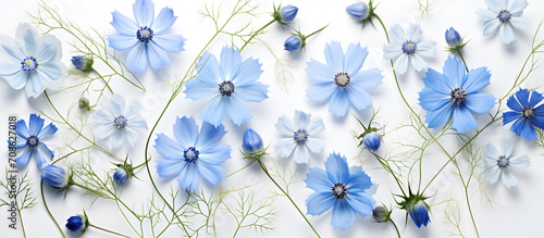 Blue Eyed Grass flower pattern background. Flower background texture. Botanical Bliss: Seamless Flower Background photo