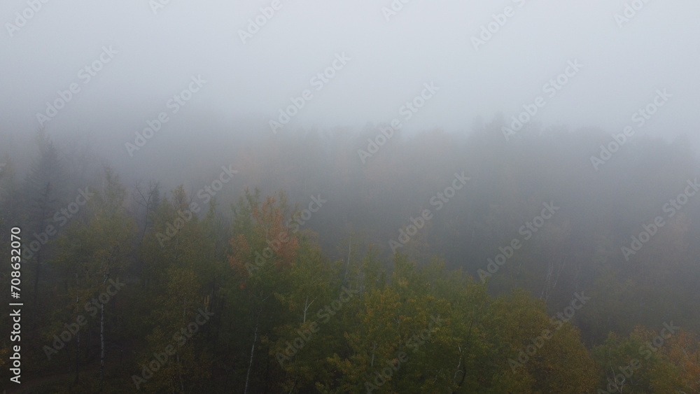 Fototapeta premium Foggy Day