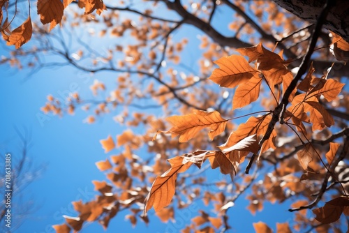 A dynamic shot of leaves falling from a tree against a brilliant blue sky, capturing the essence of the changing seasons © KerXing