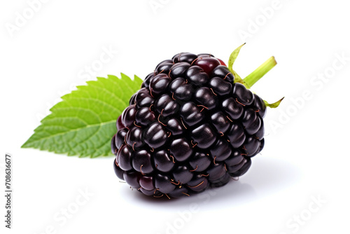 Blackberry isolated on white background created with Generative Ai