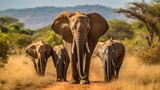 Group of elephants walking along a dusty road