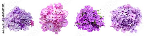 Phlox Flower Pile Of Heap Of Piled Up Together Hyperrealistic Highly Detailed Isolated On Transparent Background Png File
