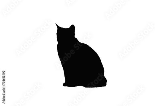 Cat silhouette. PNG silhouette of cat on white background. black cat isolated on white background.