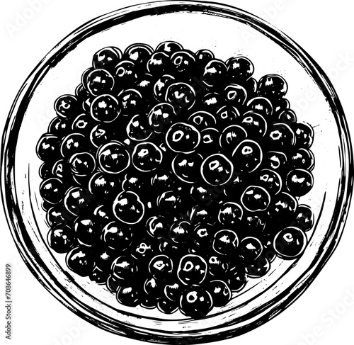 Aerial view on sturgeon roe plate, sketch style, vector illustration. Design for delicatessen premium shops, supermarkets, logo, packaging, 