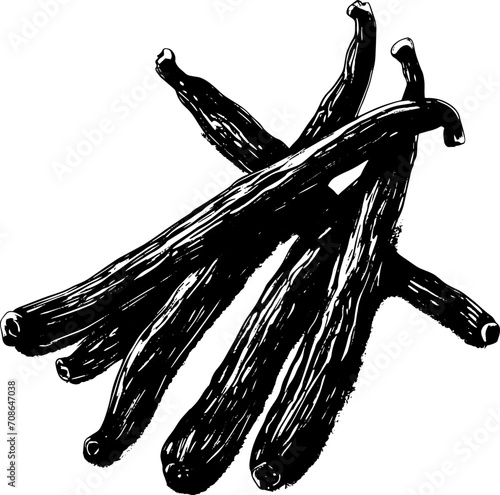 Whole vanilla beans, sketch style. Vector EPS illustration. 