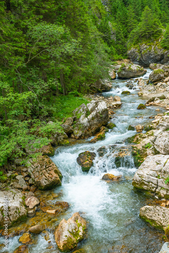 Rocky River with Rocks and Small Waterfall Portrait in Romanian Mountains