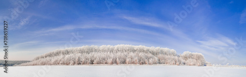 Wallpaper Mural Panorama of winter forest with trees covered with white frost and blue sky with clouds Torontodigital.ca