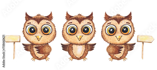 Wallpaper Mural Watercolor cute funny owls. Toy style forest bird illustration. Decorative, children's cartoon illustration, print or sticker Torontodigital.ca
