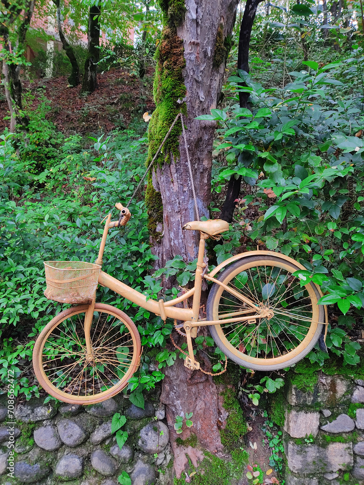 old bicycle in the garden