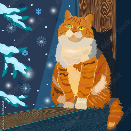 Moonlight cat