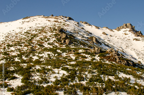 snow covered mountains