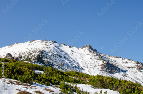snow covered mountains