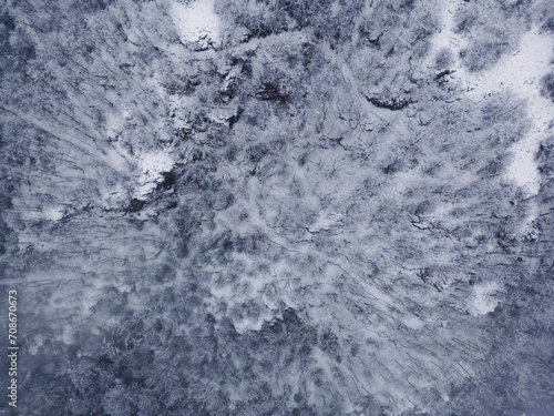 snow landscape over forest with frozen tree