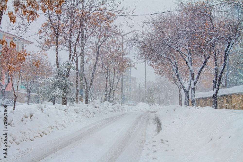 Obraz premium Snowy road_