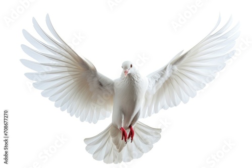 A white dove gracefully flying through the air with its wings spread. This image can be used to symbolize peace, freedom, and spirituality