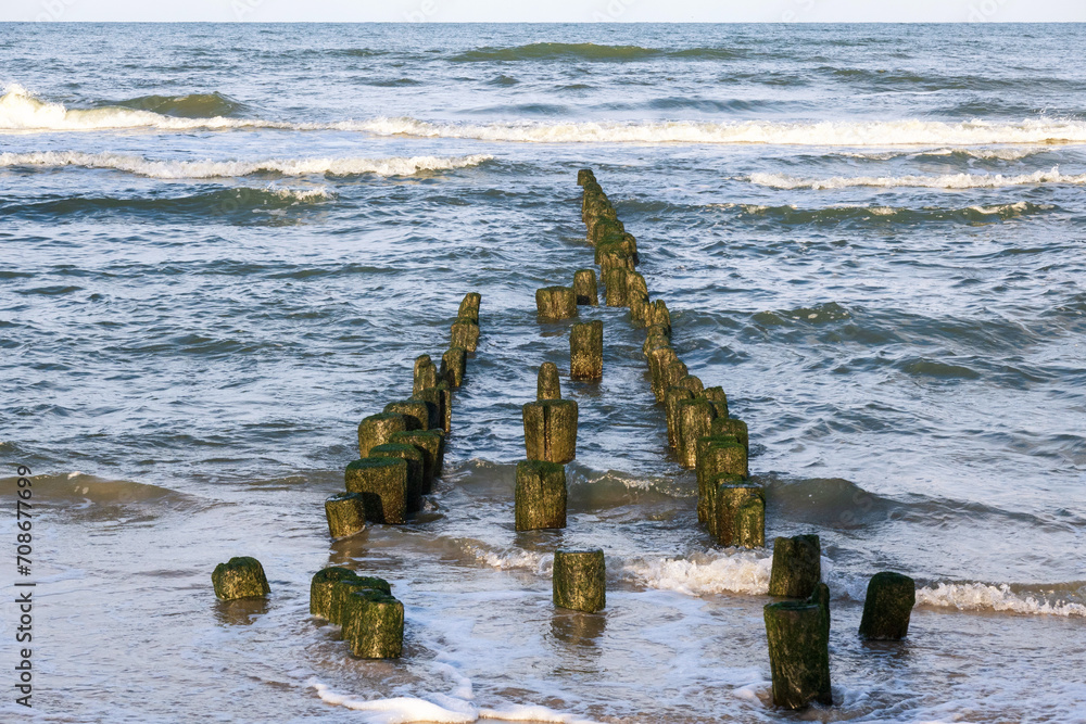 An old breakwater made of aged logs protects the sandy birch from the sea waves. Background. An old breakwater made of aged logs protects the sandy birch from the sea waves. Background.